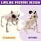Halloween Poseable Puppy Skeleton Pose-N-Stay Plastic Dog Bones for Halloween Indoor Outdoor Decor Spooky Scene Party Favors Decor